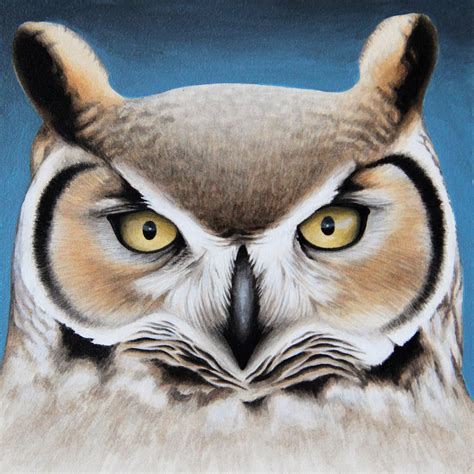 Owl - Modern Eden Gallery