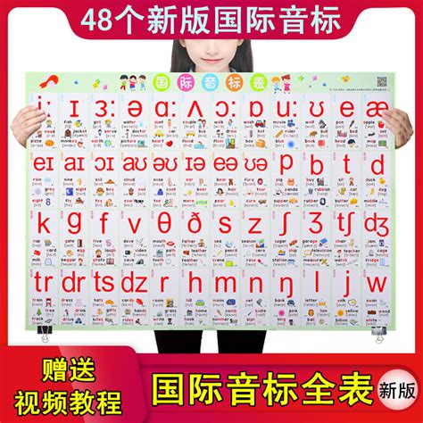 （今日10折）新版小学生英语国际音标挂图48个标准英文字母发音表儿童早教墙贴—玩具挂图认知卡