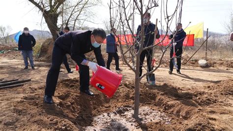 怀来县四大班子领导带头参加春季义务植树活动澎湃号·政务澎湃新闻 The Paper