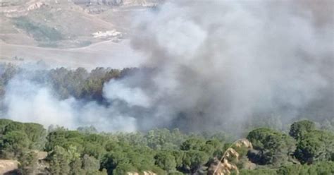 Incendi In Sicilia Interventi Di Forestali E Vigili Del Fuoco