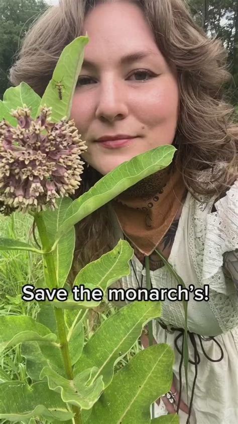 Plant Milkweed Save The Monarchs Plants You Should Know Fall