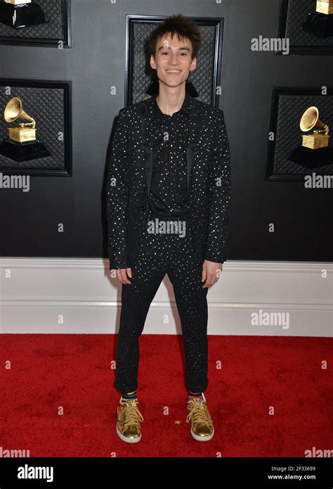 Jacob Collier 334 attends the 62nd Annual GRAMMY Awards at Staples ...