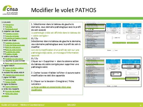 Guide Utilisateur Galaad Mdecin Coordonnateur Cnsa Direction Esms