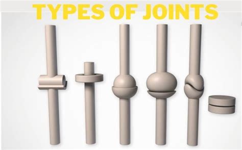 6 Types Of Joints: Human Anatomy – Welcome to SYS Medtech International ...