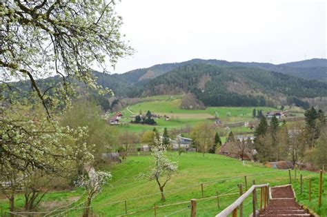 12 Best Things To Do In The Black Forest Germany - Down to Earth Travelers