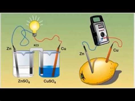 Experimento Casero Pila Con Limones Youtube