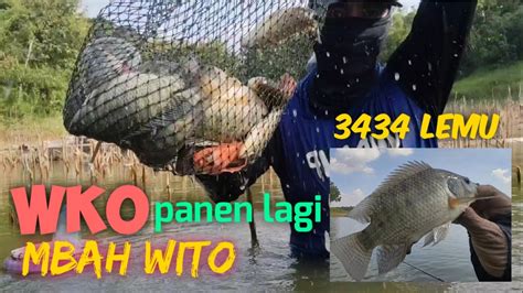 Mancing Nyobok Wko Terbaru Spot Sepi Pemancing Ternyata Sarang Ikan