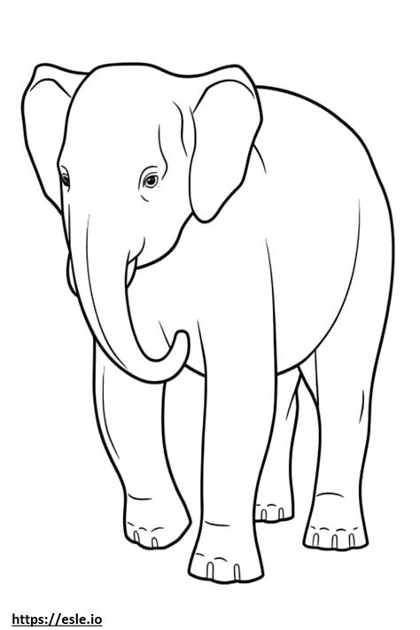 Asian Elephant Baby Coloring Page