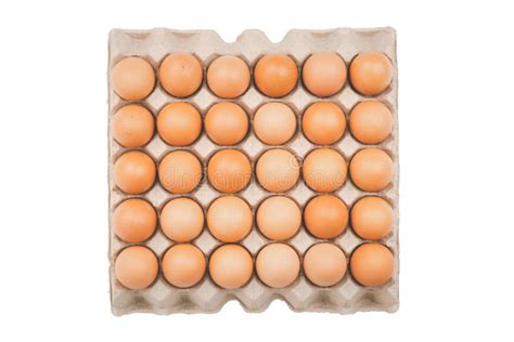 Raw Chicken Eggs In Carton Pack Isolated On White Background Stock