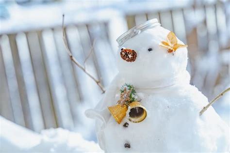 Snowman With Sunglasses Stock Photos, Images and Backgrounds for Free ...