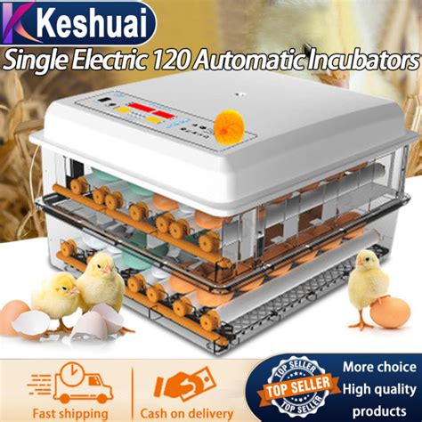 220v 22 Eggs Incubator Digital Automatic Egg Incubator Fully Automatic