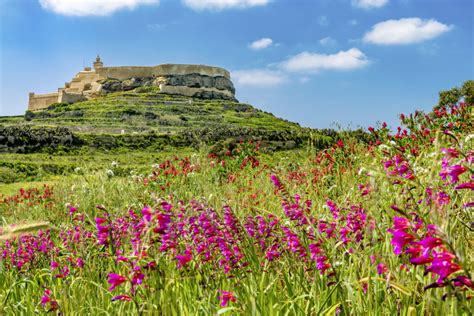 Gozo Focalizzare L Attenzione Sul Bello Destinazione Malta Academy