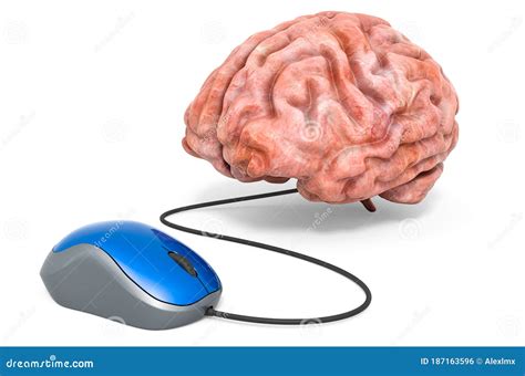 Brain With Computer Mouse 3d Rendering Stock Illustration