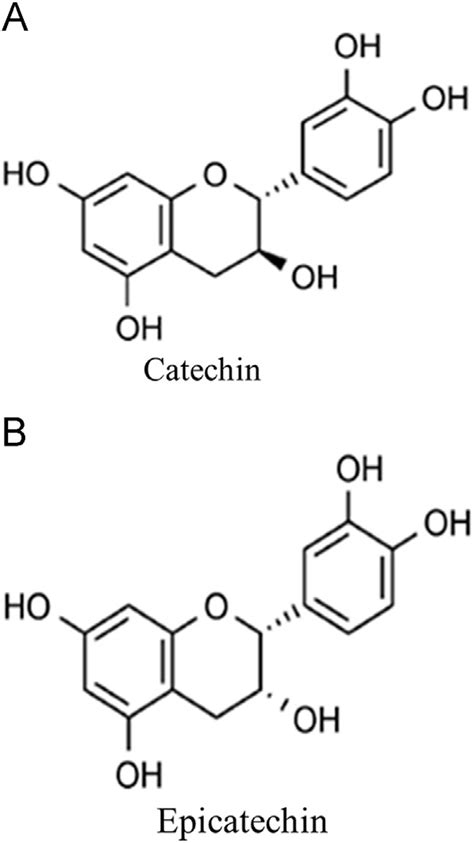 Chemical Structures Of Catechin Cat And Epicatechin Epi Adapted Download Scientific