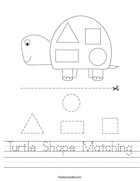 Turtle Shape Matching Worksheet Twisty Noodle