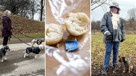 Vaksamma hundägare efter nya bullfynd Håll ögonen öppna P4