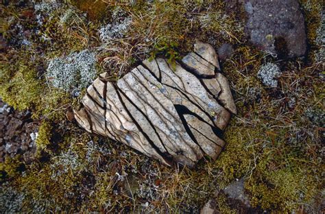 Weathering Fun Facts For Kids