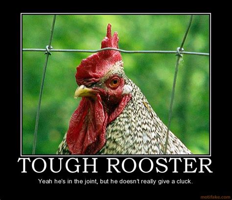 Rooster Memes