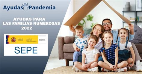 Ayudas Para Las Familias Numerosas