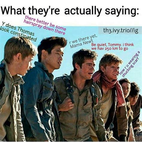 Memes The Maze Runner Artofit