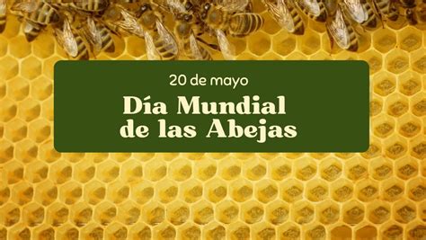 D A Mundial De Las Abejas Centro De Educaci N Ambiental De Dehesa De