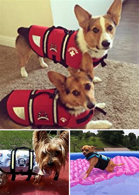 4 of the Best Dog Life Jackets: Keeping Your Pooch Above Water!