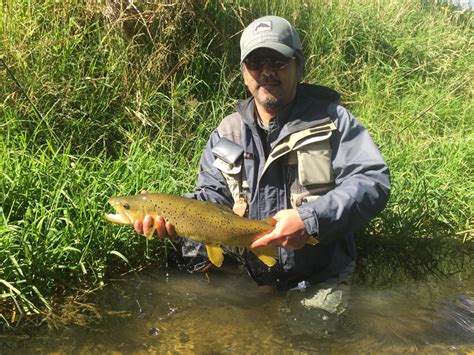 Evening Rise Fly Fishing • Flyfish Circle
