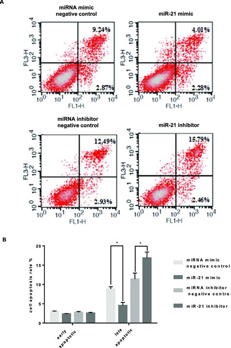 Role Of Mir In The Apoptosis Of Htr Svneo Cells A And B Flow