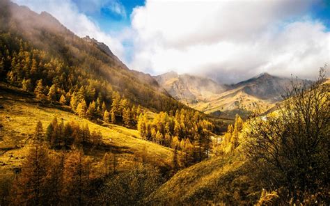 Trees Landscape Forest Fall Mountains Hill Nature Field Clouds