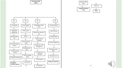 Pathway Demam Typhoid Youtube