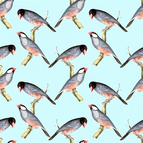 Birds Vintage Background Art Free Stock Photo - Public Domain Pictures