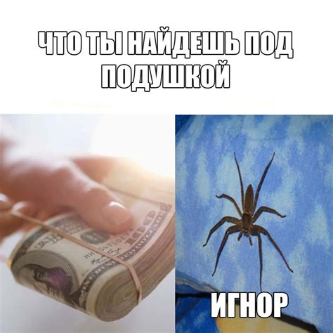 Создать мем "афоризмы про пауков, смешные цитаты про пауков, паук ...