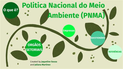 Politica Nacional Do Meio Ambiente Pnma By Jaqueline Sousa On Prezi