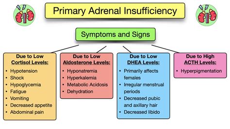 Adrenal Insufficiency Symptoms Causes Treatment Diagnosis Labs Addison S Disease — Ezmed