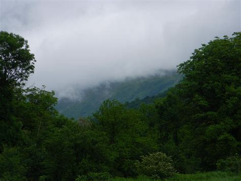Some things you can see in Pomoravlje district ot Serbia. What do you ...