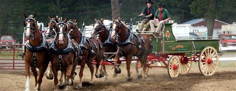 #SaratogaCountyFair http://www.saratoga.org/visitors County Fair ...