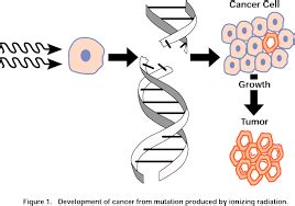 Ionizing radiation can cause cells to turn cancerous – Newswire