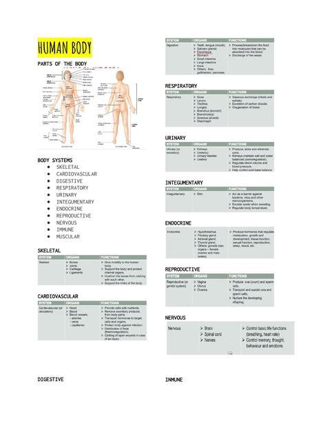 INGLÉS MÉDICO PARCIAL Pamela Grados uDocz