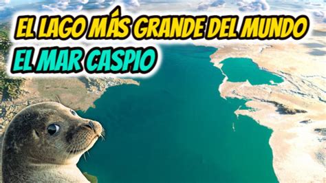 El Lago Mas Grande Del Mundo Cual Es El Lago Mas Grande Del Mundo El