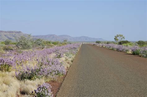 The Pilbara View Background