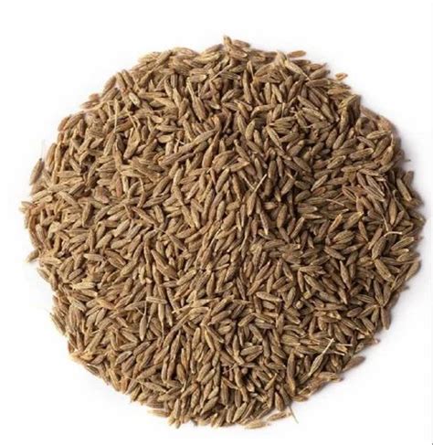 Brown Organic Cumin Seed Packaging Type Loose At Rs 250 Kg In Narwana