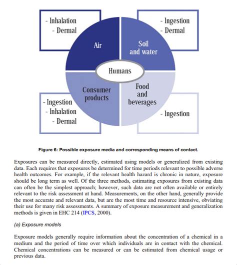 Free 10 Sample Health Risk Assessments In Pdf Ms Word