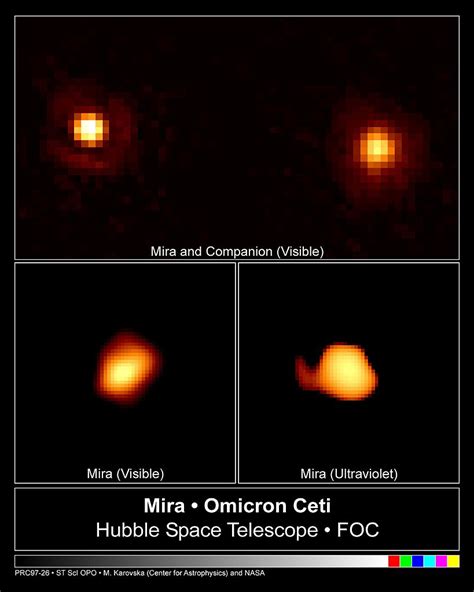 Mira (Omicron Ceti): Star System, Facts, Name, Location, Constellation | Star Facts