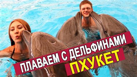ДЕЛЬФИНАРИЙ НА ПХУКЕТЕ - ПЛАВАЕМ С ДЕЛЬФИНАМИ, ТАЙЛАНД ☼ | Пхукет ...