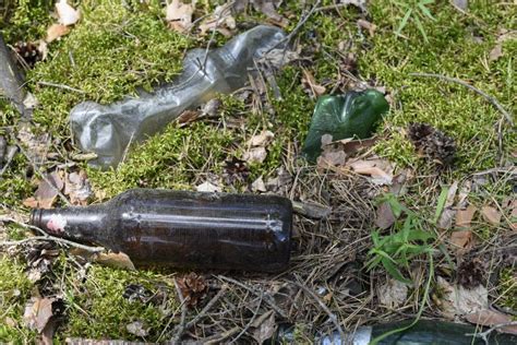 Basura En El Bosque Botellas De Vidrio Y Plástico Tiradas En El Bosque