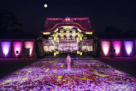 京都元離宮二條城參觀攻略世界化遺產搖身一變夜櫻燈光秀必訪賞櫻景點介紹 BringYou