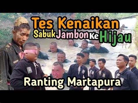 PSHT Ll Tes Kenaikan Tingkat Sabuk Jambon Ke Sabuk Hijau Ranting