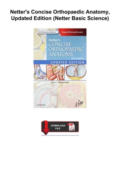 Netters Concise Orthopaedic Anatomy Updated Edition Netter Basic Science