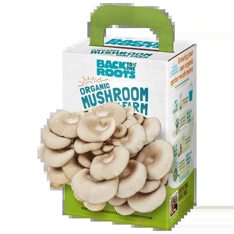 Custom Mushroom Growing Kit Boxes Custom Printed Mushroom Growing Kit