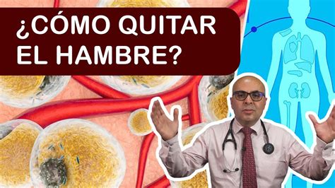 C Mo Quitar El Hambre Youtube